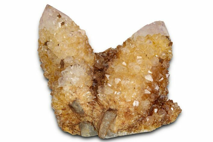 Sunshine Cactus Quartz/Amethyst Crystal Cluster - South Africa #337640